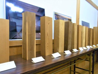 ［木材展示室］木材の様々な種類を見て触って学べる